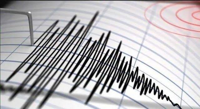 Gempa Bumi Terjadi di Halmahera Barat, Berikut Informasi Lengkapnya