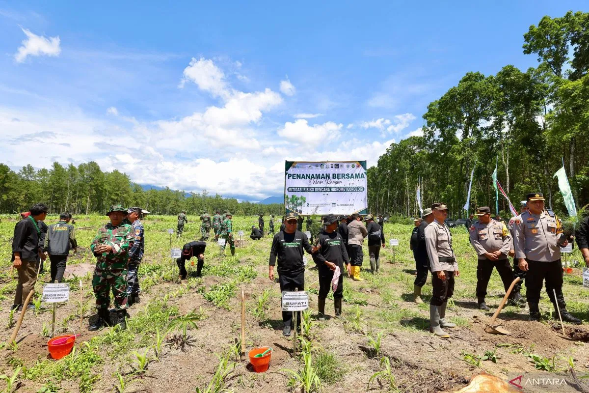 Langkah Nyata Pemkab Banyuwangi Pulihkan Hutan Lewat Penanaman 200 Ribu Bibit Pohon
