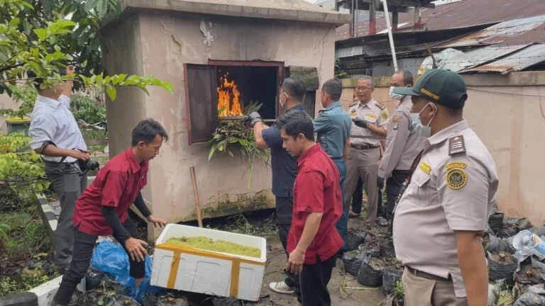 Bahayakan Industri Pertanian, Karantina Kalsel Sita dan Musnahkan Ribuan Bibit Sawit Ilegal