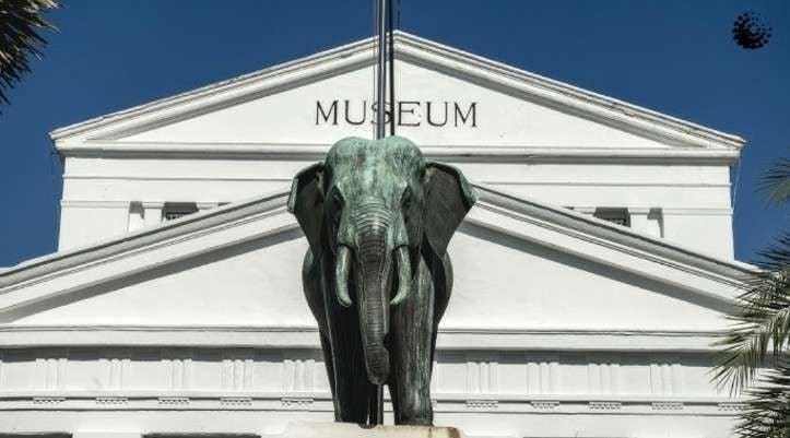 Mau ke Museum Nasional? Cek Rincian Harga Tiket Terbaru 2026 di Sini!