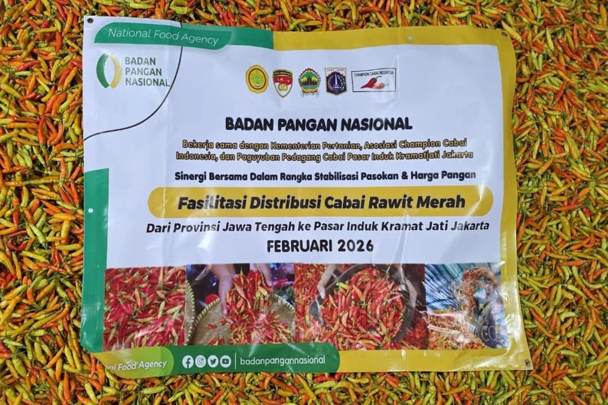 Upaya Kementan Turunkan Harga Cabai: Stok Melimpah Segera Masuk ke Pasar Induk