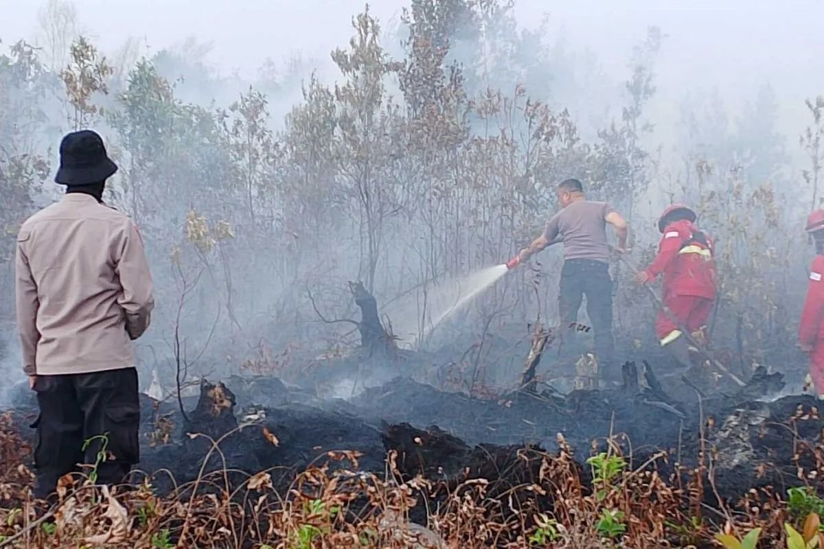 Aksi Cepat Manggala Agni Tangani 4 Hektare Lahan Terbakar di Singkawang Selatan
