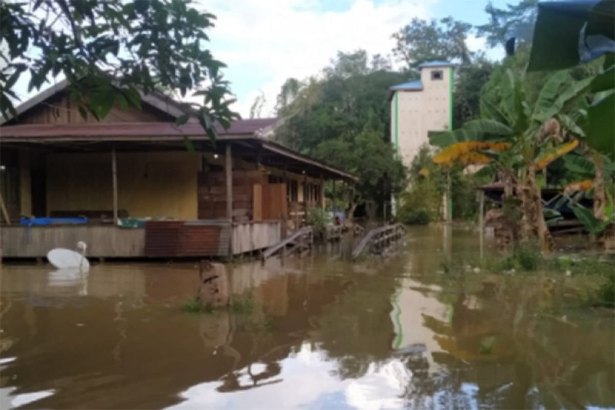 Banjir Sungai Mentaya Rendam Enam Desa di Kotawaringin Timur, 219 Warga Terdampak
