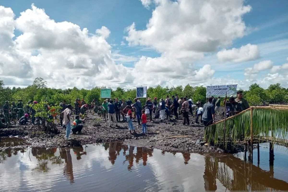 Mitigasi Perubahan Iklim, PBD Tanam 36.000 Bibit Mangrove di Kawasan Pesisir