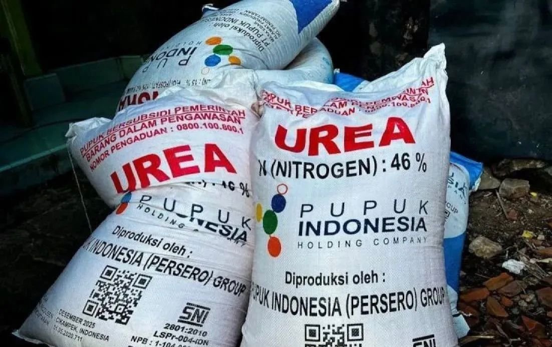Harga Pupuk Turun 20 Persen, Strategi Presiden dan Mentan Perkuat Ketahanan Pangan