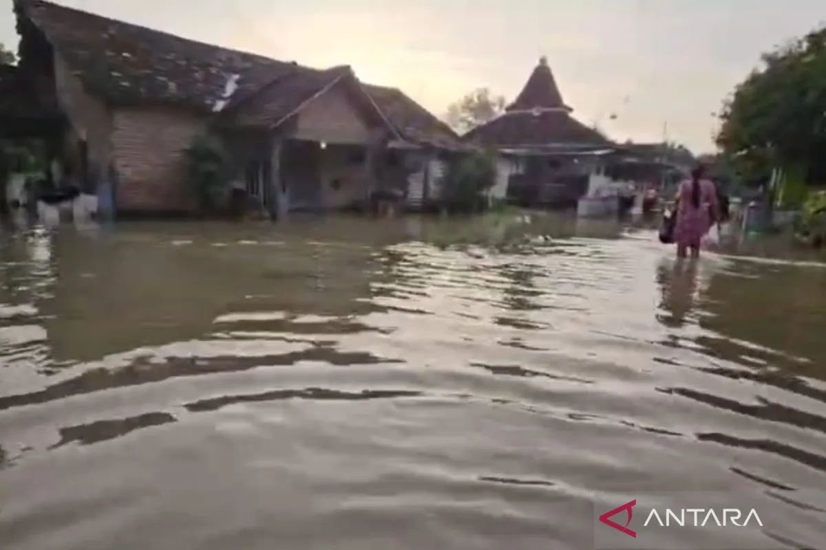 Banjir Pati Rendam 538 Rumah, 1.050 Jiwa Terdampak akibat Hujan Lebat