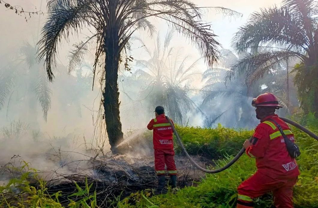 Karhutla 20 Hektare di Siak Riau, Manggala Agni Berjibaku Padamkan Api