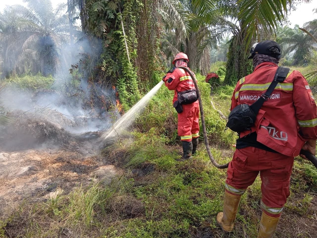 Dipicu Cuaca Ekstrem, Karhutla di Riau Kembali Meluas