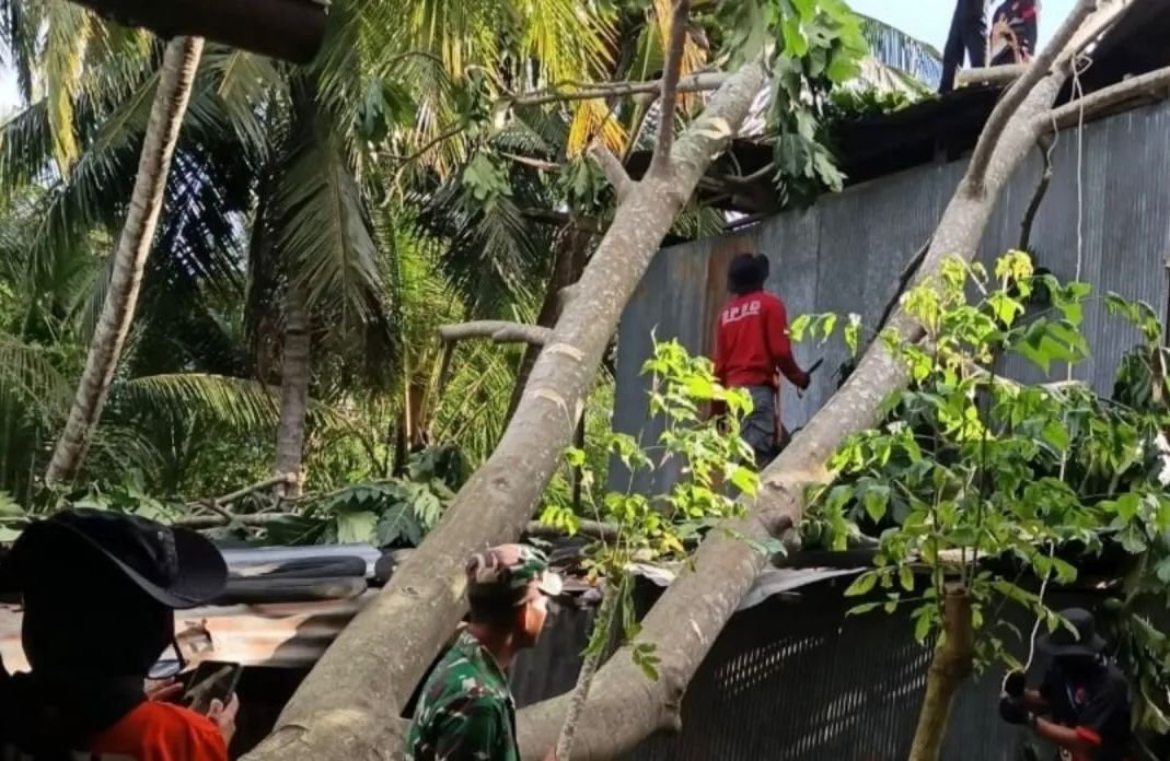 Tim TRC Sidrap Fokus Bersihkan Puing dan Material Dampak Angin Kencang