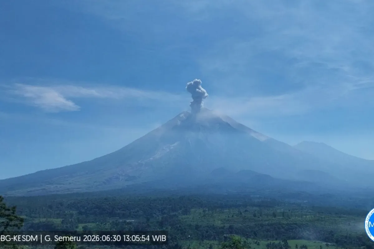 Gunung Semeru Erupsi Lagi, Simak Status Terbaru dan Radius Aman Terkini