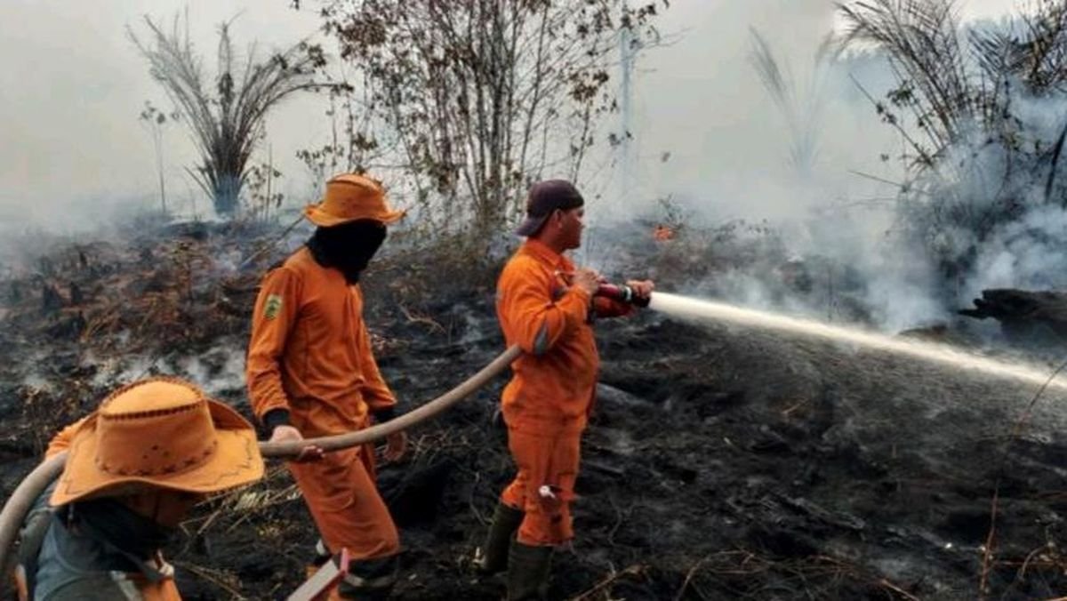Karhutla di Riau Capai 15.318 Hektare hingga Mei 2026, Lahan Gambut Mendominasi