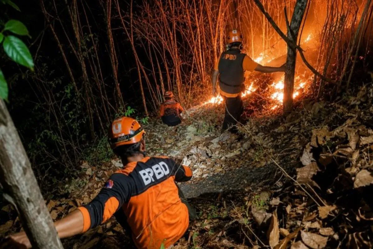 Kebakaran Hutan Gunung Puncang Jatim Meluas, Dua Hektare Lahan Terbakar