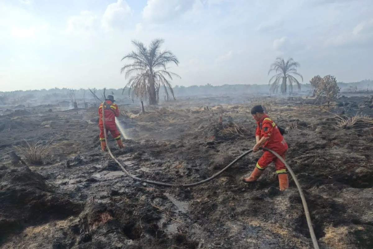 Manggala Agni Padamkan Kebakaran Hutan dan Lahan 7,5 Hektare di Rokan Hilir