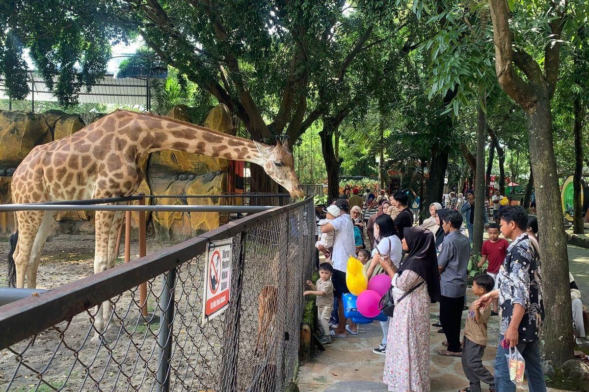 DPR Minta Ada Pembenahan Serius pada Tata Kelola Kebun Binatang Surabaya