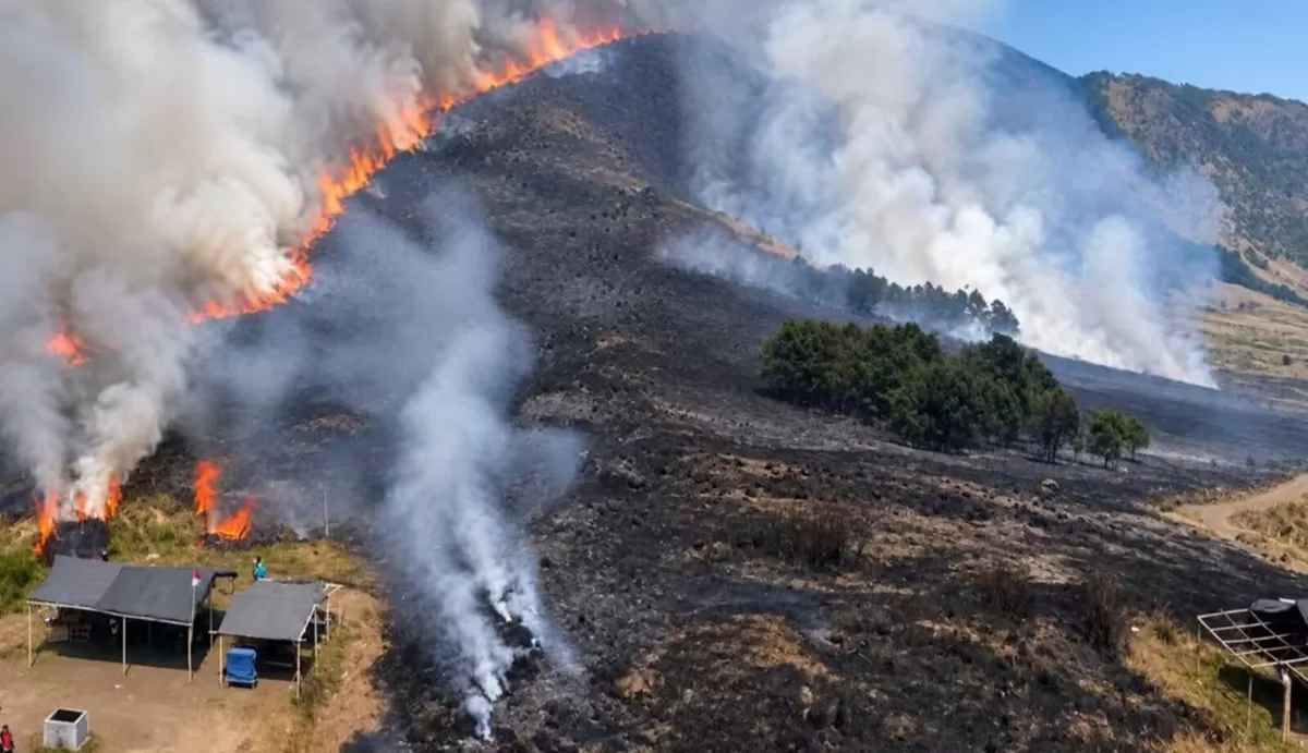 Kebakaran Bromo Meluas, TNBTS Catat Area Terdampak Capai 520 Hektare
