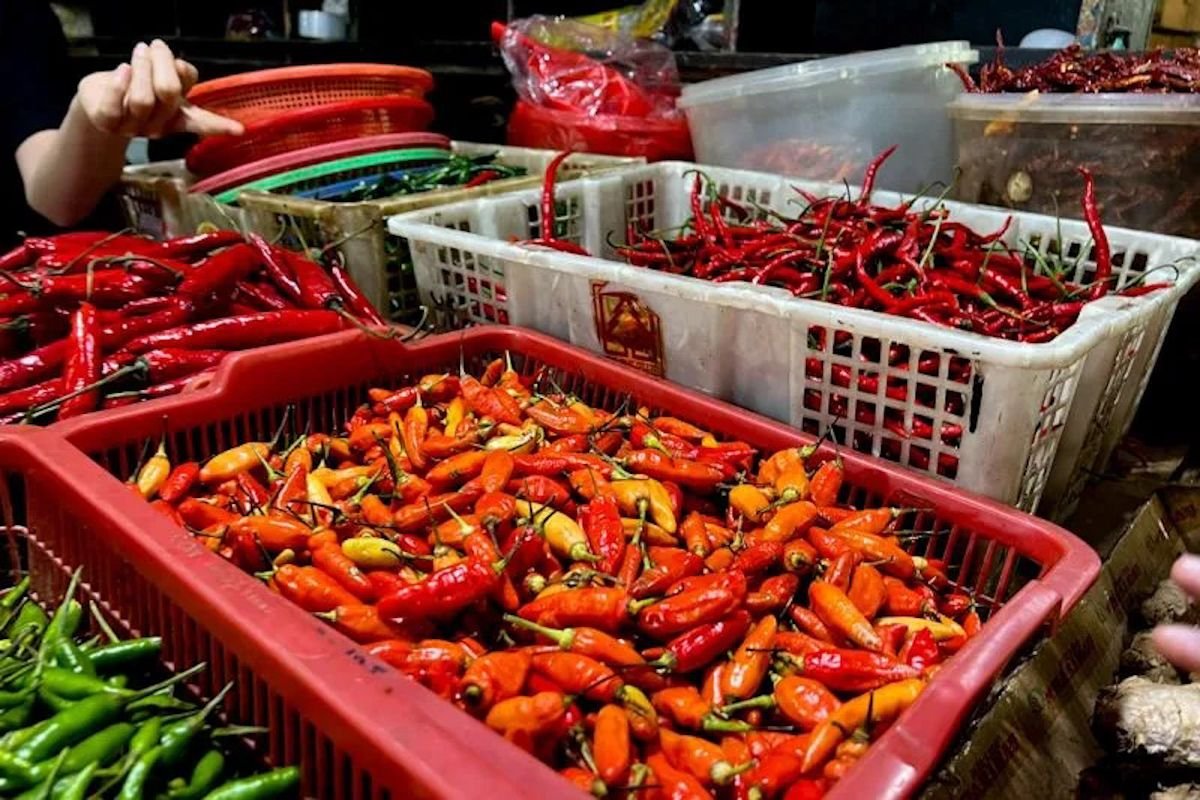 PIHPS Hari Ini: Harga Cabai Rawit Tembus Rp67.350/Kg, Telur Ayam Rp29.350/Kg