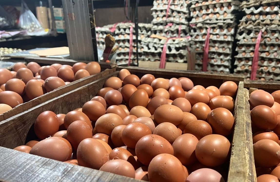 Harga Pangan Naik, BPS Catat Daging Ayam, Telur hingga Beras