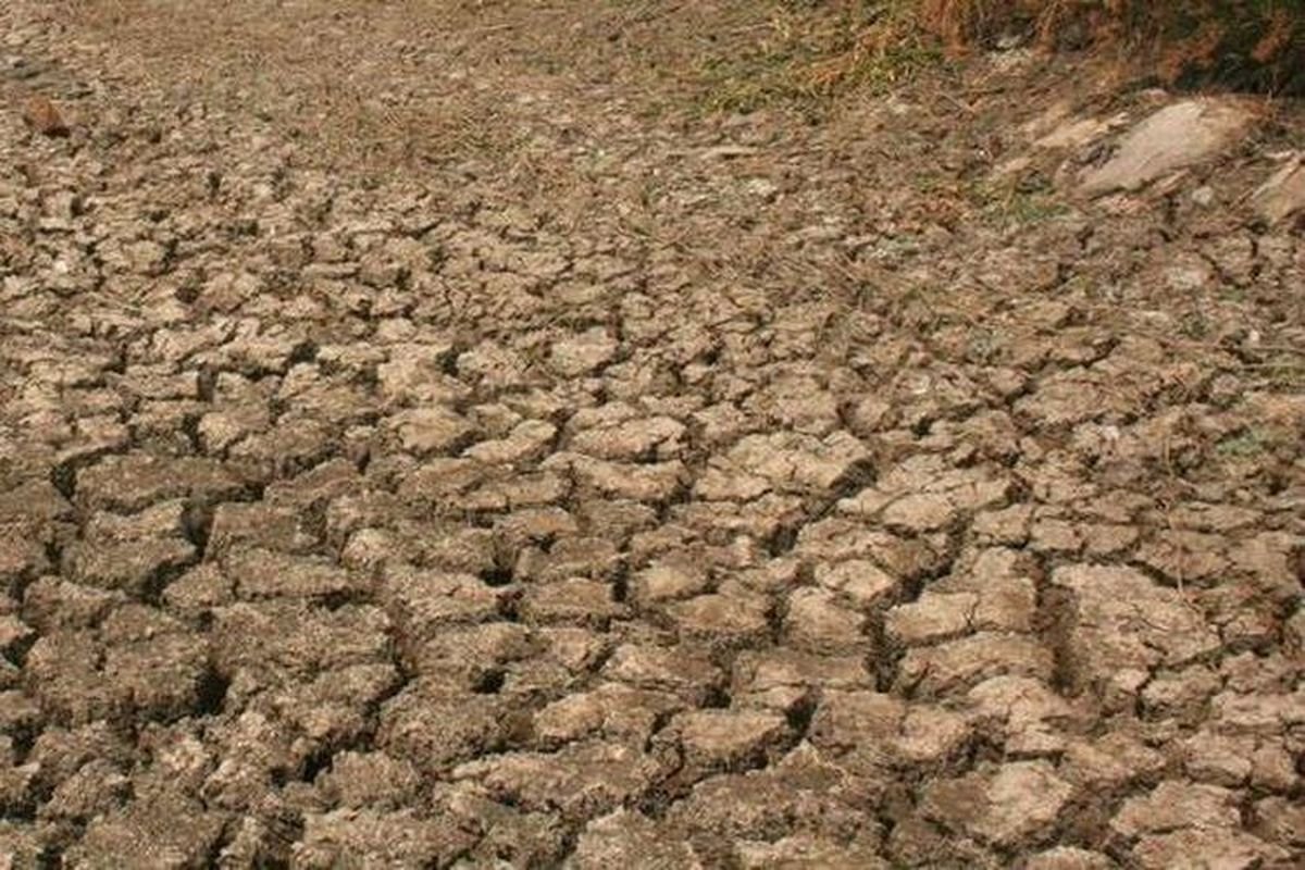 BMKG: 25 Kabupaten/Kota di Jateng Berstatus Awas Kekeringan