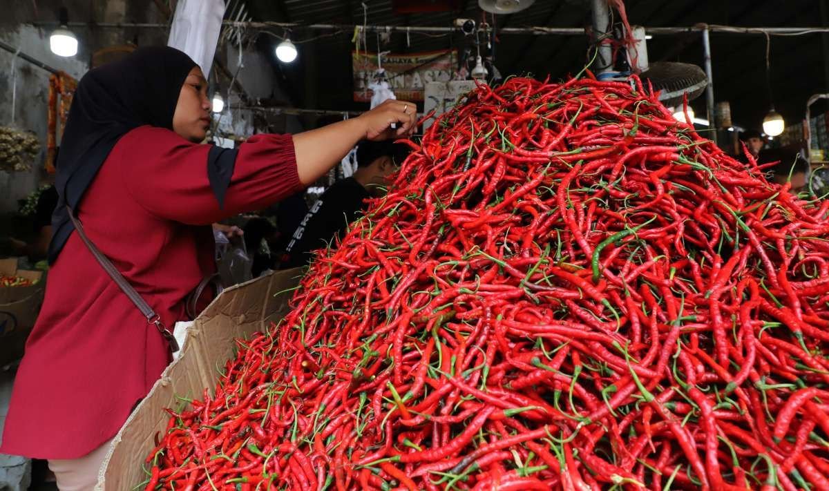 Kenaikan Harga Cabai Rawit Ancam Inflasi Jelang Akhir Tahun