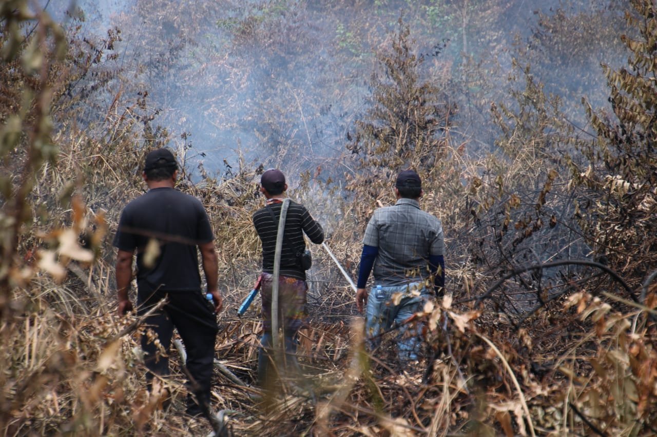 BNPB Ungkap Kendala Pemadaman Kebakaran Tanjung Puting yang Belum Terkendali