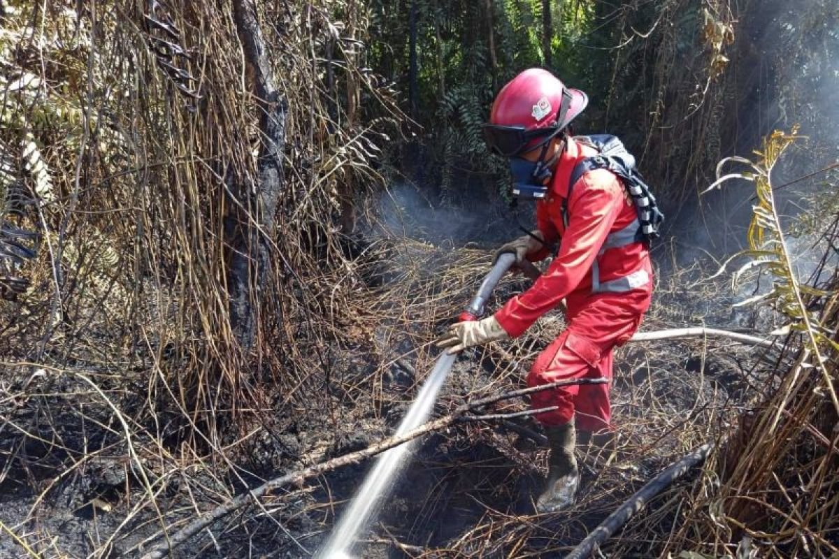 Ketua DPD Minta Pemerintah Kaji Opsi Bantuan Asing untuk Tangani Karhutla